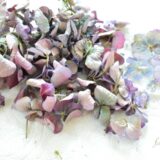 紫陽花の石鹸
