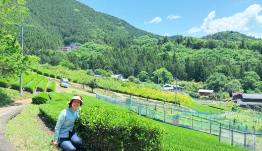 人から頼まれることの中に才能がある 好きなことが誰かのためになる見つけ方