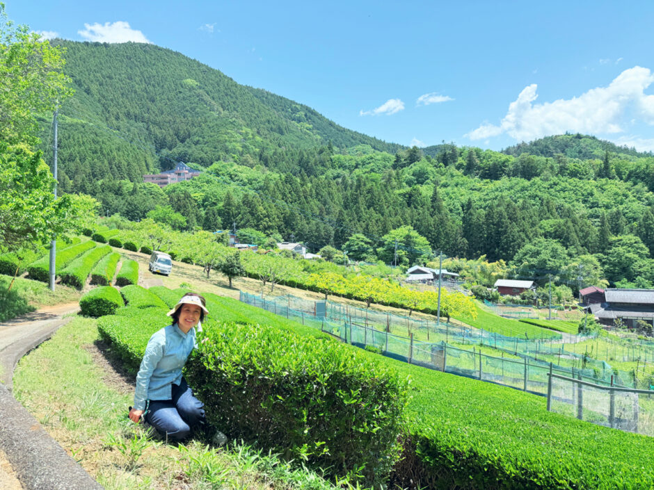 末吉真由美